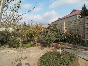 Həyət evləri və villaların satışı: 4 otaqlı, 180 kv. m, Yeni təmirli — 11