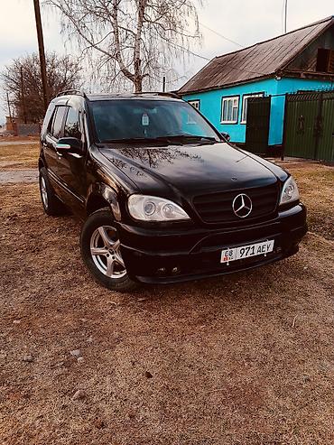smart open: Mercedes-Benz ML-Class: 2003 г., 3.7 л, Автомат, Бензин, Внедорожник — 1