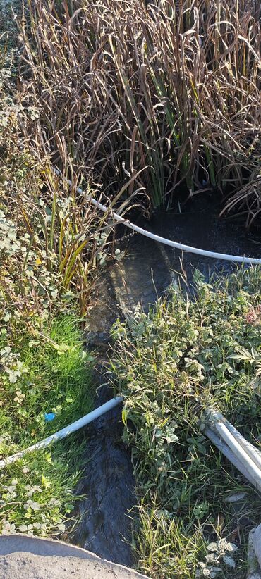 Torpaq sahələrinin satışı: 12 sot, Tikinti, Mülkiyyətçi, Kupça (Çıxarış) — 10