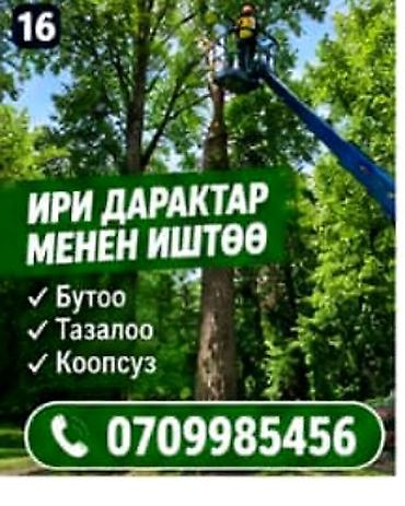Стрела 18 м, 250 т