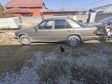 решетка мерседес 210: Mercedes-Benz E-Class: 1989 г., 2.3 л, Механика, Бензин, Седан — 2