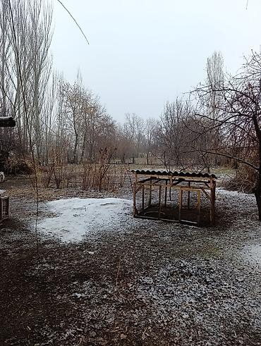 Продажа коттеджей и домов: 📌В селе Беловодское продается 2 дома на участке 32 соток. ▪️Дома из at lalafo.kg — 4 Продажа коттеджей и домов: 📌В селе Беловодское продается 2 дома на участке 32 соток. ▪️Дома из — 4