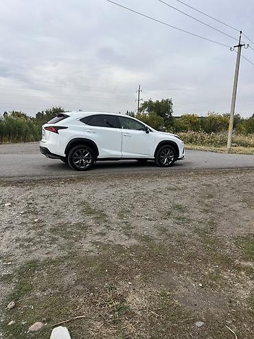 Lexus: Lexus NX: 2020 г., 2 л, Автомат, Бензин, Кроссовер — 6