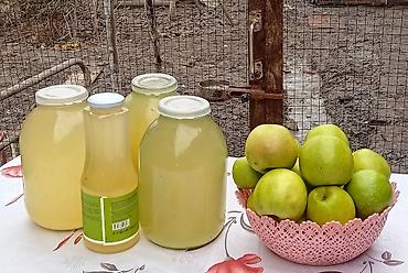 Alma sirkəsi. Öz həyətimizdən olan dərmansız natural smirinka