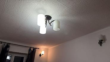 Унитазы: Переноска/контейнер для животных + унитаз-компакт 1) Переноска для — 20