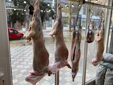 Digər kommersiya daşınmaz əmlakı: Nərimanov metrosunun yaxınlığındasahəsi 20 kv/m olan, obyekt (ət — 14