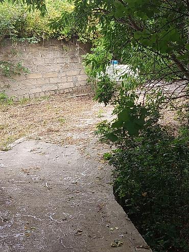 ремонт смарт телевизоров: 10 sot torpaqda yerləşən 2 mərtəbəli bağ evi. - Ümumi ölçü: 9,1 m x — 9