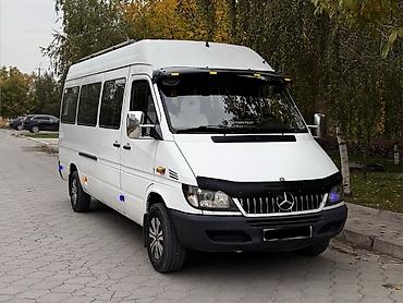 Mercedes-Benz Спринтер: 2005 г., 2.7 л, Механика, Дизель, Бус