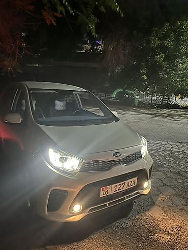 киа к5 хищник: Kia Morning: 2019 г., 1 л, Автомат, Бензин, Хэтчбэк — 6
