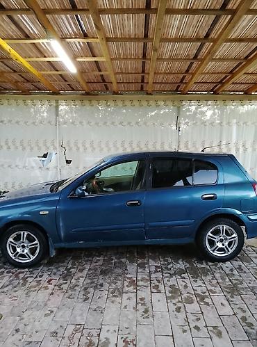 водный катер: Nissan Almera: 2001 г., Механика, Хэтчбэк — 2