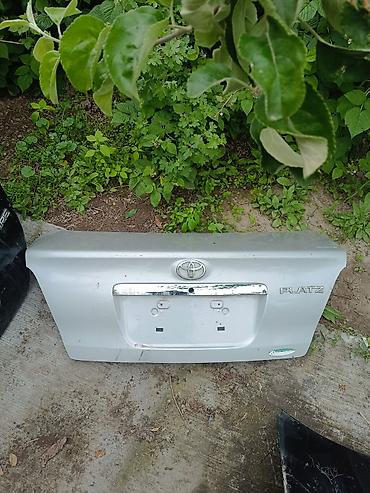 toyota echo 2000: Запчасти Тойота - Платц Эхо - 2000г - 2005год Двери — 3