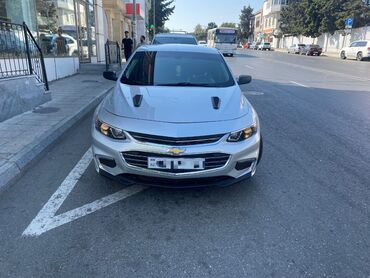 sevralit malibu: Chevrolet Malibu: 1.5 l. | 2018 il | 91000 km. | Sedan