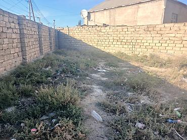 Torpaq sahələrinin satışı: 10 sot, Tikinti, Kupça (Çıxarış) — 2