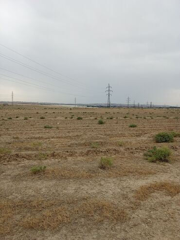 bakıda torpaq: 130 sot, Kənd təsərrüfatı, Mülkiyyətçi, Kupça (Çıxarış)