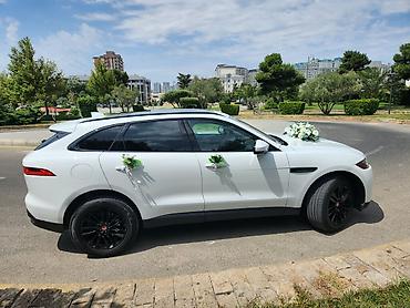 pol yonan usta: #Jaguar#Fpace#Toy #Nişan və digər #tədbirlər üçün #sifariş edə — 9