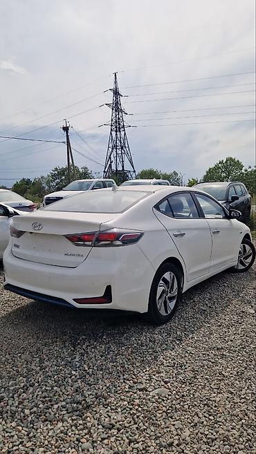 byd e2: Hyundai Elantra: 2020 г., 1.6 л, Автомат, Гибрид, Седан — 4