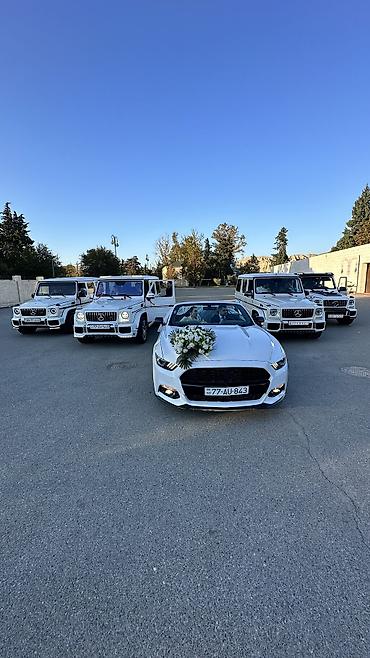 Nəqliyyat vasitəsinin icarəsi: Günlük, Mercedes -da lalafo.az — 5 Nəqliyyat vasitəsinin icarəsi: Günlük, Mercedes — 5