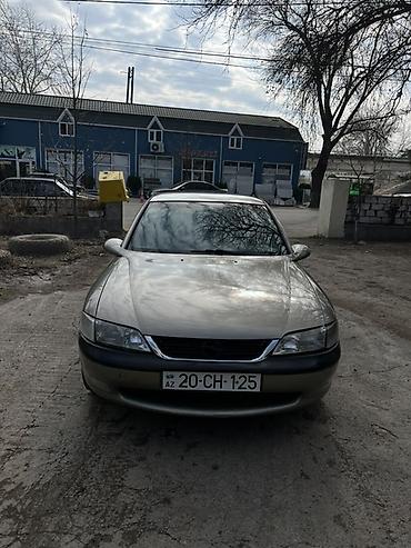Opel: Opel Vectra B sedan - Gümüşü rəng, 4 qapı, arxa işıqlar və krom — 1