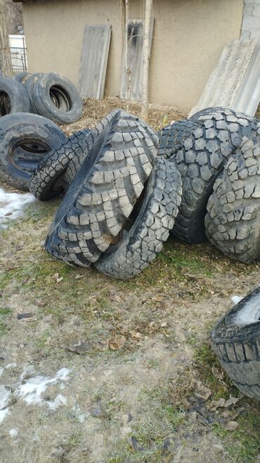 Шины: Продаются колёса на ЗИЛ -131, Урал,Газ66,Экскаватор, Т-150 at lalafo.kg — 2 Шины: Продаются колёса на ЗИЛ -131, Урал,Газ66,Экскаватор, Т-150 — 2