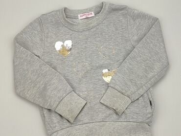 sweterek szary: Bluza, 5-6 lat, 110-116 cm, stan - Dobry