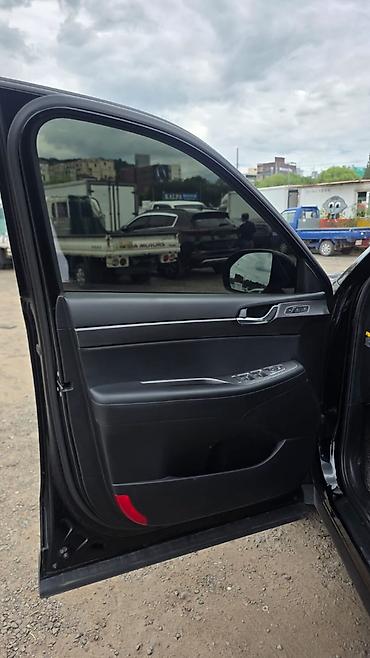 palisade: Hyundai Palisade: 2019 г., Кроссовер — 6