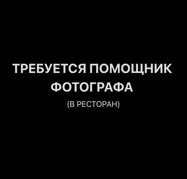 Развлечения, спорт: Фотограф, видеооператор