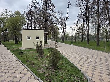 Новостройки от застройщика: Сдан, 1 комната, 35 м² — 5