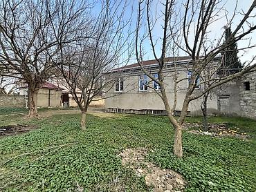 alatava ev: 10 sot, Tikinti, Mülkiyyətçi, Kupça (Çıxarış) — 5