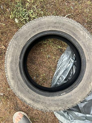 Шиналар: Зимняя шина MaxTrek Trepador 185/65 R15 88T - Тип: зимняя — 2