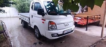 купить мини манипулятор: Hyundai Porter II — компактный бортовой грузовик - Тип: малотоннажный — 6