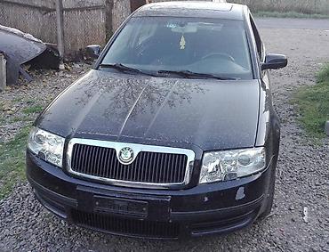 nalepnice za automobile: HAUBA KRILA VRATA ITD ZA ŠKODA SUPERB OD 2002. DO 2008. GOD. | SKODA — 1