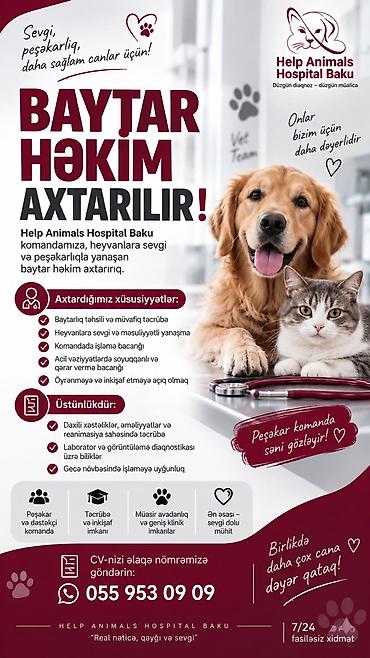 🐾 BAYTAR HƏKİM AXTARILIR! 🩺 Help Animals Hospital Baku komandasına