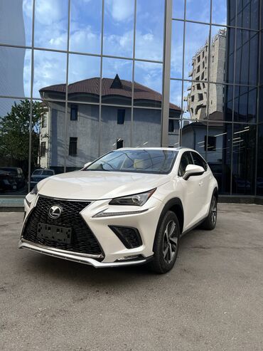 электромобиль neta: Lexus NX: 2018 г., 2 л, Вариатор, Бензин, Кроссовер