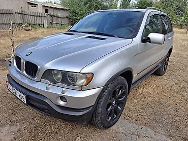 силк вэй: BMW X5: 2002 г., 3 л, Автомат, Дизель, Кроссовер — 1