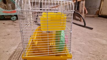 Другие животные: Срочно Срочно!!! Продаётся новая клетка для животных покупали 1 неделю