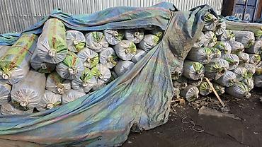 Теплицы: Теплица, парник, куноскана, суу кампа,силос яма, куносканага чел — 10