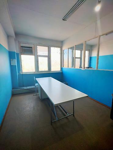 Продажа другой коммерческой недвижимости: Коммерческая недвижимость для вашего бизнеса в Военно-Антоновке! — 12