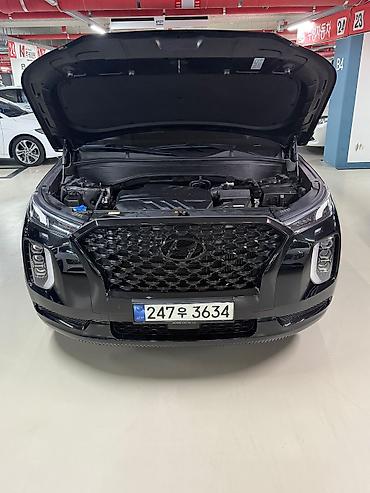 black: Hyundai Palisade: 2020 г., 2.2 л, Автомат, Дизель, Кроссовер — 5