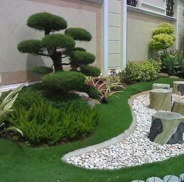 Ağaclar: Dekarativ agaclarin satisi qazon torpaq torf diger gubrelerin satisi — 11