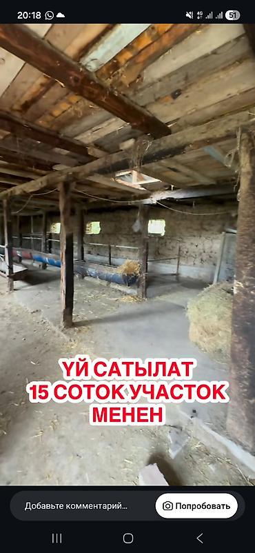 чон: Шашлыш турдо уй сатылат. Участок 15 соток. Участокто 2 уй бар, чон — 10