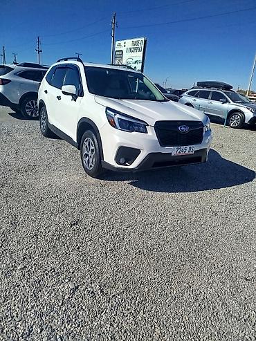 спойлер на вольво: Subaru Forester: 2021 г., 2.5 л, Автомат, Бензин, Кроссовер — 1