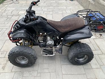 купить квадроциклы: Квадроцикл Yamaha, Бензин, 110 куб. см, Взрослый — 4