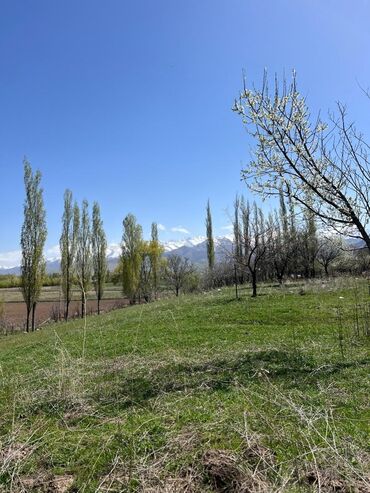 Продажа участков: 10 соток, Для строительства, Красная книга at lalafo.kg — 9 Продажа участков: 10 соток, Для строительства, Красная книга — 9