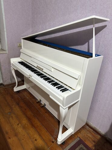 Pianolar: Piano, Petrof, Akustik, Yeni, Pulsuz çatdırılma — 10