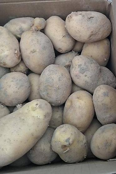 Картошка Пикассо, В розницу