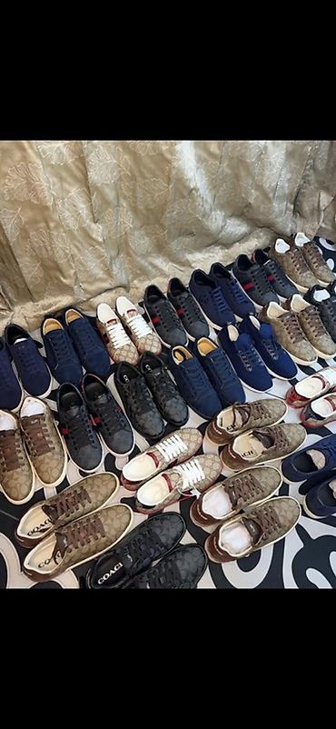 coach обувь: Мужские кроссовки, 40, 41, 41.5, Coach, Новый — 1