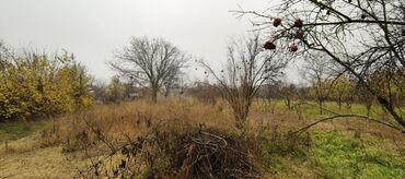 Torpaq sahələrinin satışı: 30 sot, Tikinti, Mülkiyyətçi, Kupça (Çıxarış) — 4