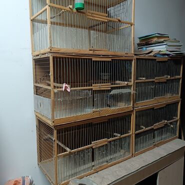 клетки для птицы: Продаю клетки для декоротивных птиц длина 60см ширина 35см высота