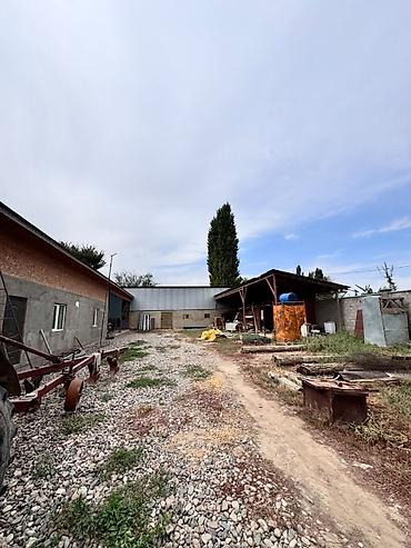 Продажа коттеджей и домов: 🏡 Продаётся дом с хозяйственными постройками в селе Лубяное — 7