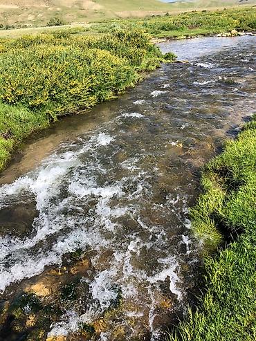 Туристические услуги: Кумысолечение в Суусамырской долине. Чистый воздух, натуральная еда — 10